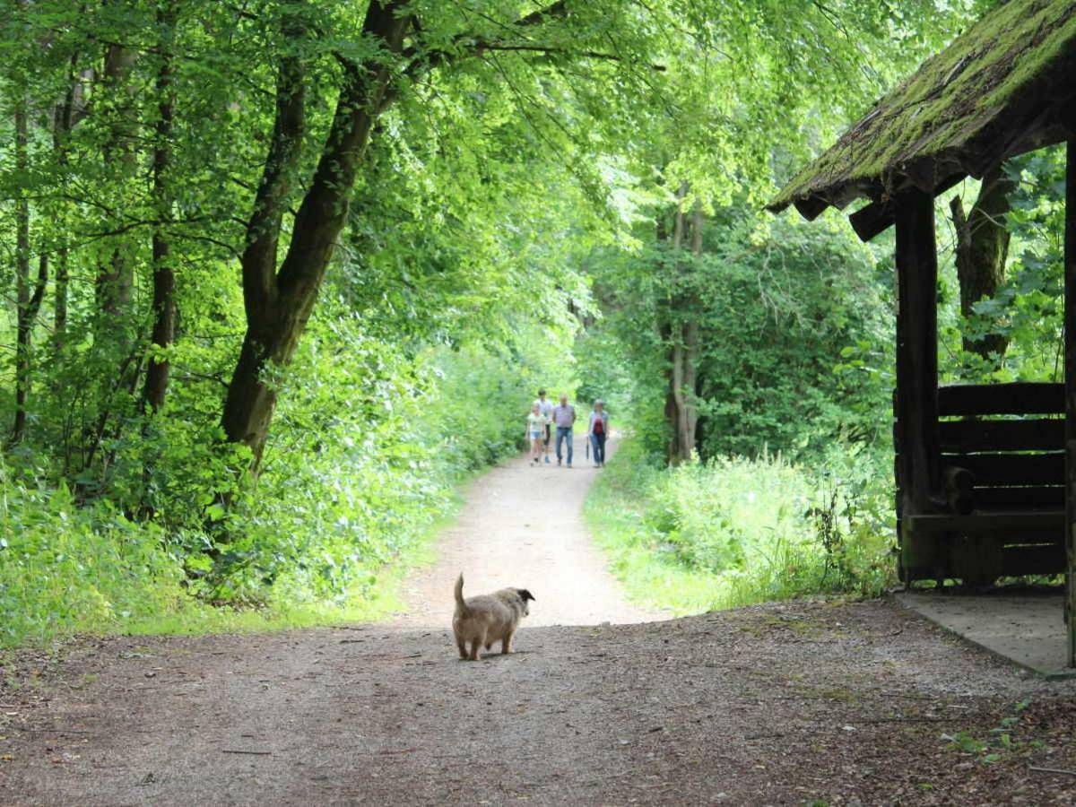 Haus Wiesenttal Waischenfeld Luaran gambar